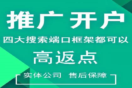 搜索引擎营销（SEM）的推广优化技巧——案例研究